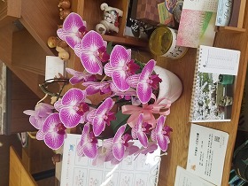 HOMEの写真